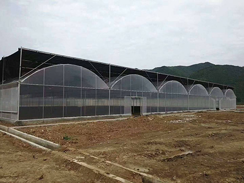 溫室大棚廠家
